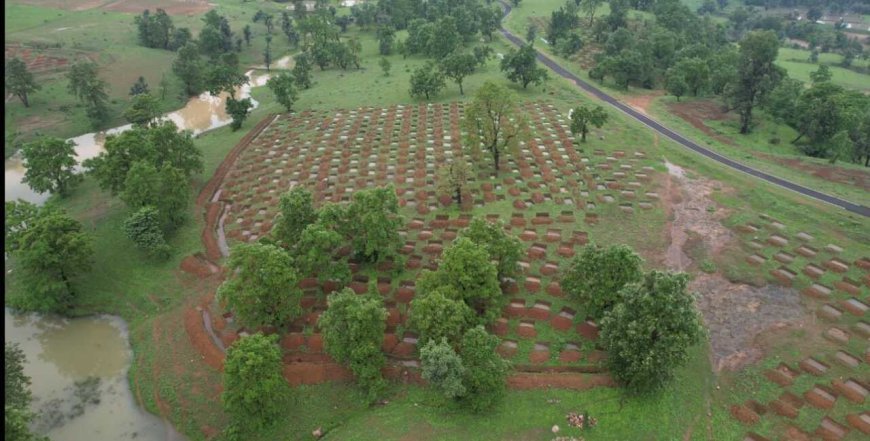 सेमरदर्री में 8,300 स्टैगर्ड कंटूर ट्रेंच से रोजाना 67 लाख लीटर भू-जल रिचार्ज