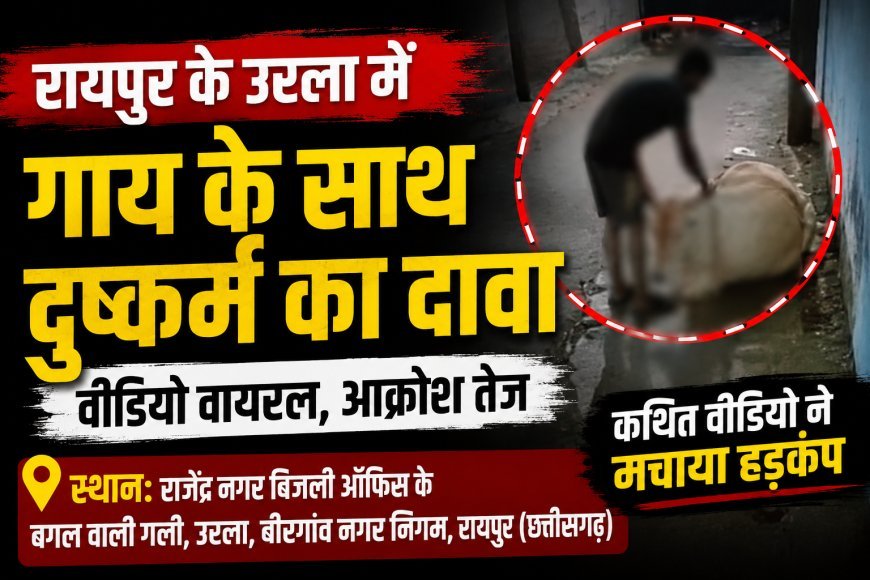 रायपुर के उरला में गाय के साथ दुष्कर्म का कथित वीडियो वायरल, जांच की मांग तेज