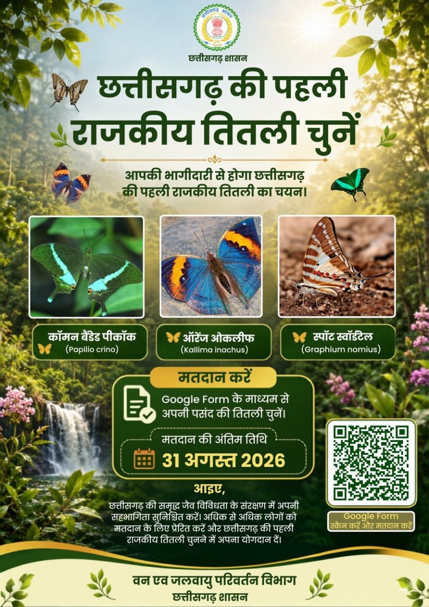 भोरमदेव अभ्यारण्य की ऑरेंज ओकलीफ को राजकीय तितली बनाने के लिए वोट करने की अपील