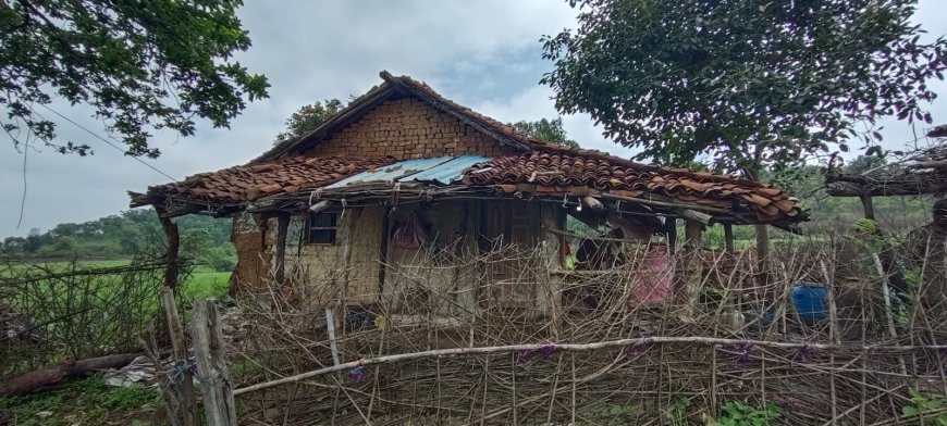 स्लग-घर से रेस्क्यू किए गए तेंदुए की मुक्की में मौत,उठे कई सवाल