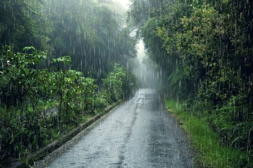 धमतरी जिले में अब तक 427.4 मिमी औसत वर्षा दर्ज, मगरलोड में सामान्य के मुकाबले सर्वाधिक बारिश