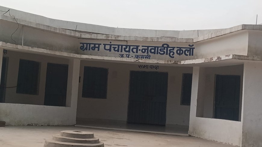 बलरामपुर नवाडीह कला पंचायत में 'फंड मैनेज' का बड़ा खेल बिना स्वीकृति के कराए काम दूसरे मद से भुगतान का आरोप