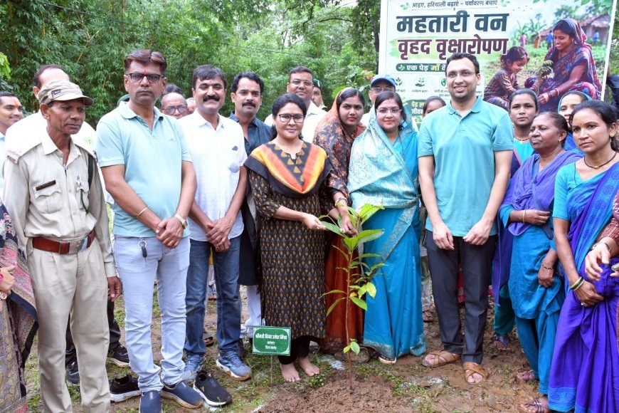 बालोद के पर्यावरण पार्क में वृहद वृक्षारोपण अभियान, महतारी वंदन योजना से जुड़ी महिलाओं ने लगाए पौधे
