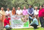 सिविल लाइंस सिंधी पंचायत ने पंचशील नगर में किया वृक्षारोपण, पर्यावरण संरक्षण का दिया संदेश