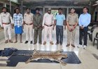 धौड़ाई में वन विभाग की बड़ी कार्रवाई, 3 आरोपियों से तेंदुए की खाल जब्त