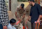 गौवंश की सुरक्षा के साथ सड़क हादसों पर लगाम, कबीरधाम में 200 गौवंश को लगाए गए रेडियम बेल्ट