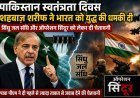 पाकिस्तान स्वतंत्रता दिवस पर शहबाज शरीफ का भारत को संदेश, सिंधु जल संधि और कश्मीर पर फिर दी कड़ी चेतावनी