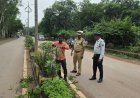 कलेक्ट्रेट रोड के डिवाइडर पर पौधों की छंटाई, यातायात पुलिस और नगरपालिका की संयुक्त पहल से बढ़ी सड़क की विजिबिलिटी