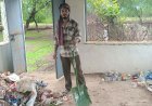 प्लास्टिक कचरे को आय का स्रोत बना रहे पथर्रा के स्वच्छाग्रही, स्वच्छता के साथ पंचायत को भी आर्थिक लाभ