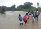 उफनती नदी के बीच स्कूल की राह, एक-दूसरे का हाथ थाम नदी पार कर रहीं छात्राएं