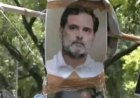 सज्जन कुमार को हीरो बताने वाले बयानों पर सिख परिवारों का प्रदर्शन, राहुल गांधी के आवास के बाहर फूंका पुतला
