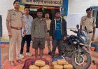 मैनपुर पुलिस ने 7.72 लाख रुपये के गांजे के साथ महाराष्ट्र के दो तस्करों को पकड़ा, 15.44 किलो गांजा जब्त