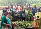 घरेलू उपाय अपनाकर केमिकल मुक्त बागवानी करें: मनीषा त्रिवेदी