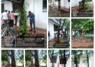 प्रोजेक्ट पुनर्जीवन महाभियान में तेजी, रायपुर में 2609 ट्री गार्ड और 1029 कांक्रीट पेवर हटाए गए