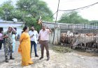 फुंडहर गौठान में क्षमता से दोगुने से अधिक गौवंश मिलने पर महापौर मीनल चौबे ने जताई नाराजगी, जांच के दिए निर्देश