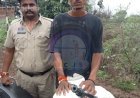 रणवीरपुर पुलिस की कार्रवाई, अवैध शराब परिवहन करते आरोपी गिरफ्तार, 35 पौवा शराब और बाइक जब्त