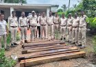 गरियाबंद में सागौन की अवैध चिरान पर वन विभाग की बड़ी कार्रवाई, 21 नग लकड़ी जब्त