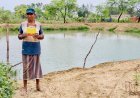 डबरी बनी रामभजन की समृद्धि का आधार, खेती के साथ मछली पालन से बढ़ी आय