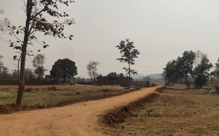 मोहला में अवैध प्लाटिंग पर कार्रवाई तेज, तहसीलदार ने पटवारियों से मांगी रिपोर्ट