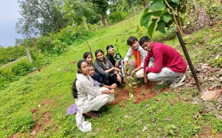 एबीवीपी मरवाही का ‘स्वच्छ परिसर–हरित परिसर’ अभियान, महाविद्यालय में स्वच्छता और वृक्षारोपण से दिया पर्यावरण संरक्षण का संदेश