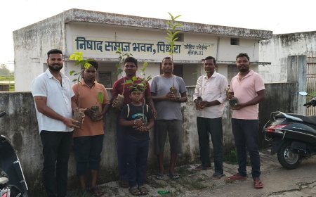 हरित छत्तीसगढ़ के संकल्प के साथ निषाद समाज युवा संगठन ने किया वृक्षारोपण