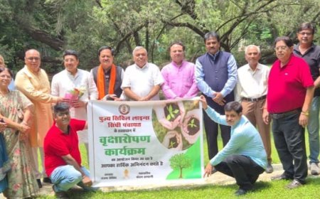 सिविल लाइंस सिंधी पंचायत ने पंचशील नगर में किया वृक्षारोपण, पर्यावरण संरक्षण का दिया संदेश