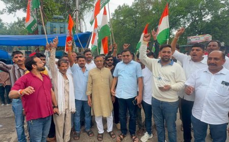 दतिया उपचुनाव में कांग्रेस की जीत पर आलीराजपुर में जश्न, कार्यकर्ताओं ने बांटी मिठाई