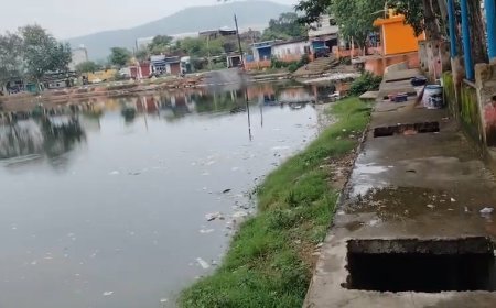 Raigarh News : किरोड़ीमल नगर में नाली निर्माण की गुणवत्ता पर उठे सवाल, नगरवासियों ने उच्च स्तरीय जांच की मांग
