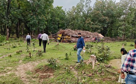 मलेरिया नियंत्रण के लिए स्वास्थ्य विभाग का वनांचलों में विशेष अभियान, संवेदनशील क्षेत्रों की तैयारियों का लिया जायजा