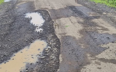 चांदनी-रतागढ़ सड़क पर गिट्टी बिछाने से बढ़ी परेशानी, किसानों ने डामरीकरण नहीं हुआ तो आंदोलन की दी चेतावनी