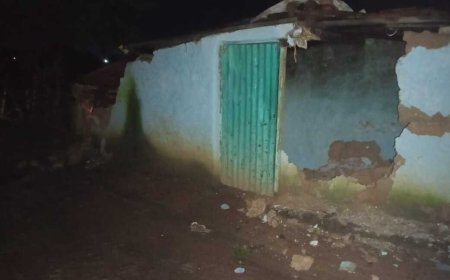 मरवाही कन्या छात्रावास में घुसे हाथी, पांच जगह तोड़ी बाउंड्रीवाल; 58 छात्राओं को देर रात दूसरे छात्रावास में किया गया शिफ्ट