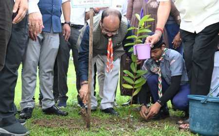 उप मुख्यमंत्री अरुण साव ने किया पौधारोपण, बोले- हरियाली बढ़ेगी तो पर्यावरण भी स्वस्थ और सुंदर बनेगा