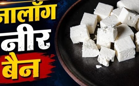 रेस्टोरेंट-डेयरी संचालकों पर नगर पालिका की सख्ती, एनालॉग पनीर मिला तो होगी कड़ी कार्रवाई
