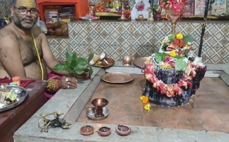 बचेली के राम मंदिर के पीछे जंगल में मिले 9 और 11 पत्तियों वाले अद्भुत बेलपत्र, श्रद्धालुओं में बढ़ा कौतूहल