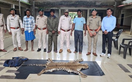 धौड़ाई में वन विभाग की बड़ी कार्रवाई, 3 आरोपियों से तेंदुए की खाल जब्त