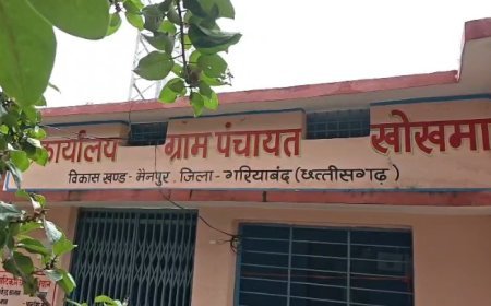 उपसरपंच को लाभ देने के लिए काटा लाखों का बिल, पंचायत सचिव ने मानी गलती