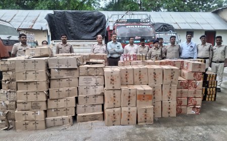 आलीराजपुर में बड़ी कार्रवाई, पंचायत भवन के पीछे से 230 पेटी अवैध शराब जब्त