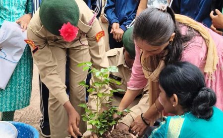 पीजी कॉलेज कवर्धा में “एक पेड़ माँ के नाम” अभियान के तहत पौधरोपण, विद्यार्थियों ने लिया संरक्षण का संकल्प