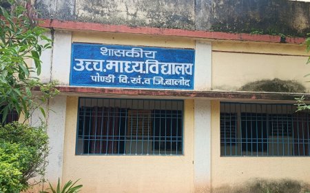 बालोद शिक्षा विभाग में 2016 की अनुकंपा नियुक्ति पर सवाल, RTI में सामने आई जानकारी