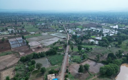 प्रधानमंत्री जनमन योजना से वनांचल क्षेत्र में आवागमन हुआ सुगम, मंगतूपूरा से गुड़ली बैगापारा तक बनी पक्की सड़क