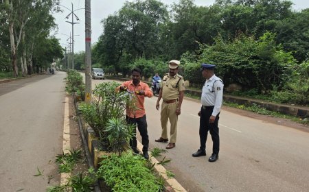 कलेक्ट्रेट रोड के डिवाइडर पर पौधों की छंटाई, यातायात पुलिस और नगरपालिका की संयुक्त पहल से बढ़ी सड़क की विजिबिलिटी
