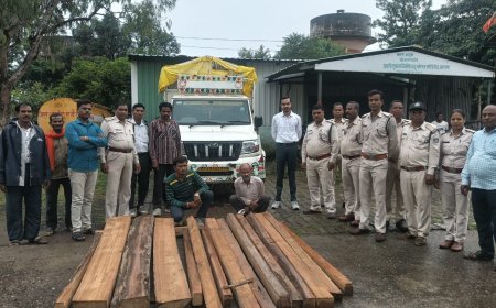 रात्रि गश्त में सागौन चरपट से भरी पिकअप जब्त, दो आरोपी पकड़े गए