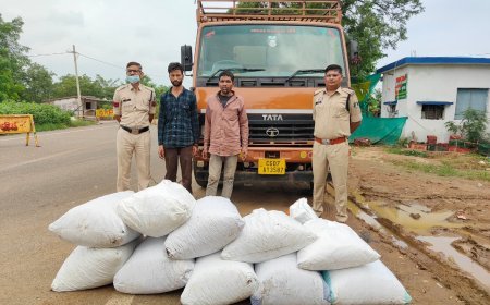 गरियाबंद में 1.51 क्विंटल गांजा जब्त, दो अंतर्राज्यीय तस्कर गिरफ्तार