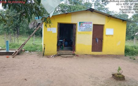 दुर्गम नक्सल प्रभावित क्षेत्रों में बेहतर सेवा देने वाले पांच शासकीय कर्मचारी सम्मानित