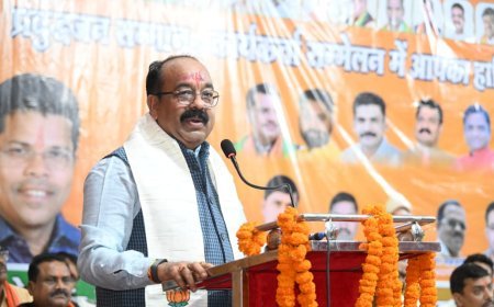 ओबीसी समाज देश की मजबूती का आधार, मोदी सरकार ने दिया संवैधानिक अधिकार: अरुण साव