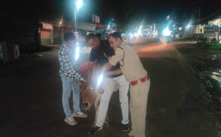 रात में हादसों से बचाएगा रेडियम बेल्ट, पोड़ी पुलिस ने गौवंश के गले में बांधे रेडियम बेल्ट