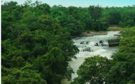 धमतरी जिले में अब तक 783.5 मिमी औसत वर्षा, नगरी में सबसे ज्यादा 878.2 मिमी बारिश दर्ज