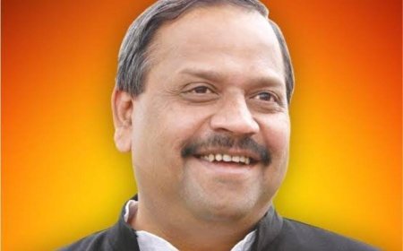 नवनियुक्त एल्डरमैन ने मंत्री चेतन्य काश्यप से की मुलाकात, जनोपयोगी कार्यों को प्राथमिकता देने की सलाह