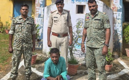ससुर ने दामाद पर सरई की लकड़ी से किया हमला, इलाज के दौरान मौत, आरोपी गिरफ्तार