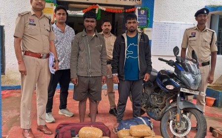 मैनपुर पुलिस ने 7.72 लाख रुपये के गांजे के साथ महाराष्ट्र के दो तस्करों को पकड़ा, 15.44 किलो गांजा जब्त